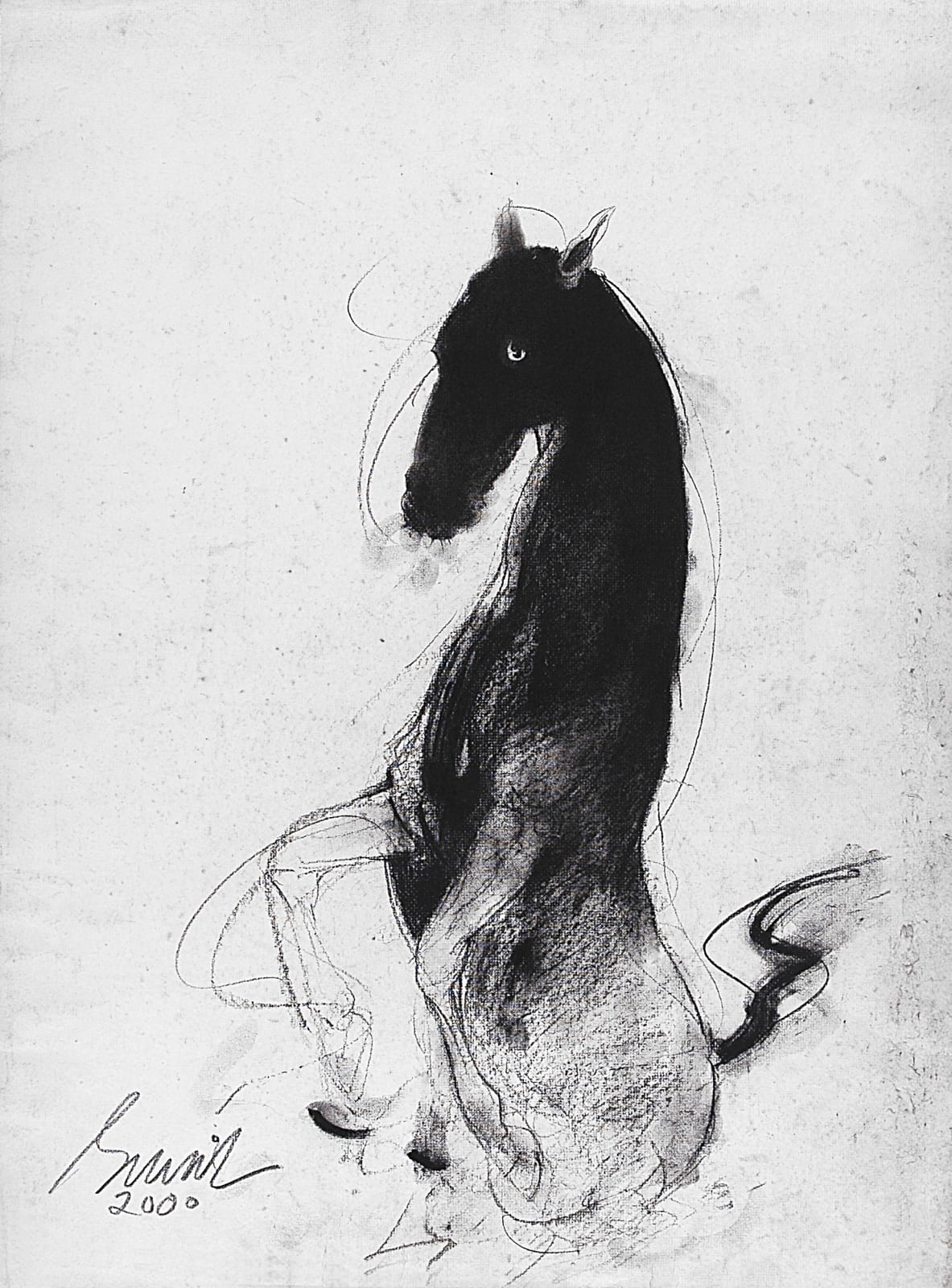 Sunil Das, Horse, 2000