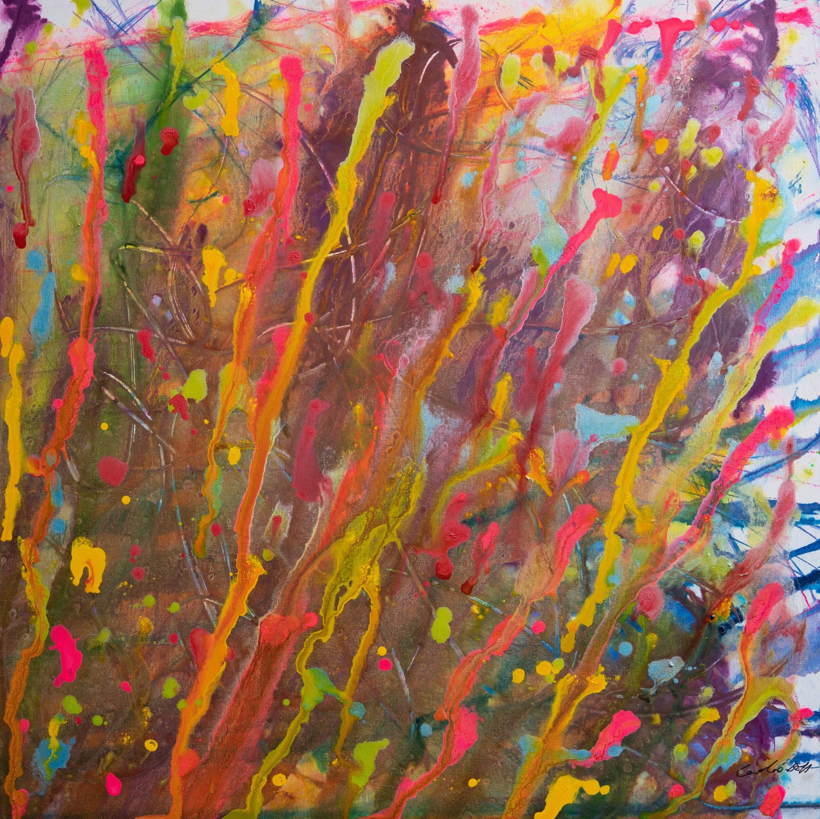 Caroline Boff, Colourful Cosmos