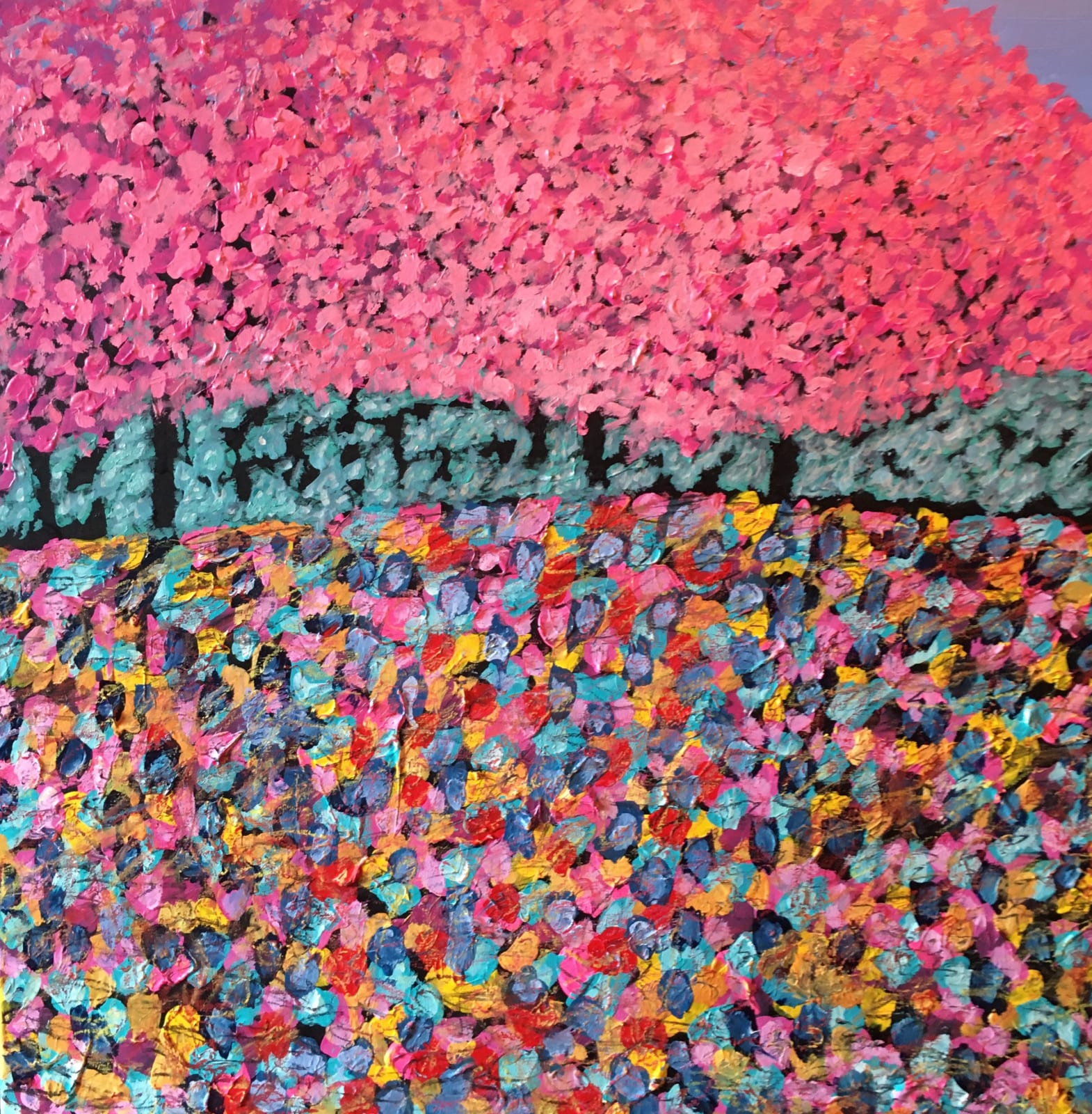 Caroline Boff, Fields of Flowers