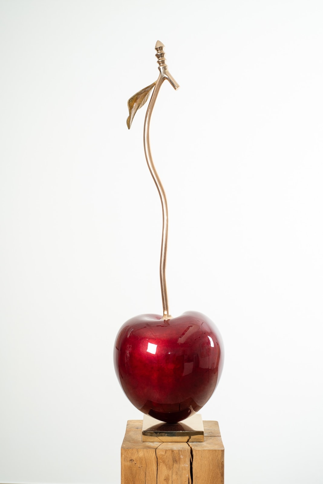 LOTHAR, SWEET HEART SINGLE ELEGANCE LARGE, 2024