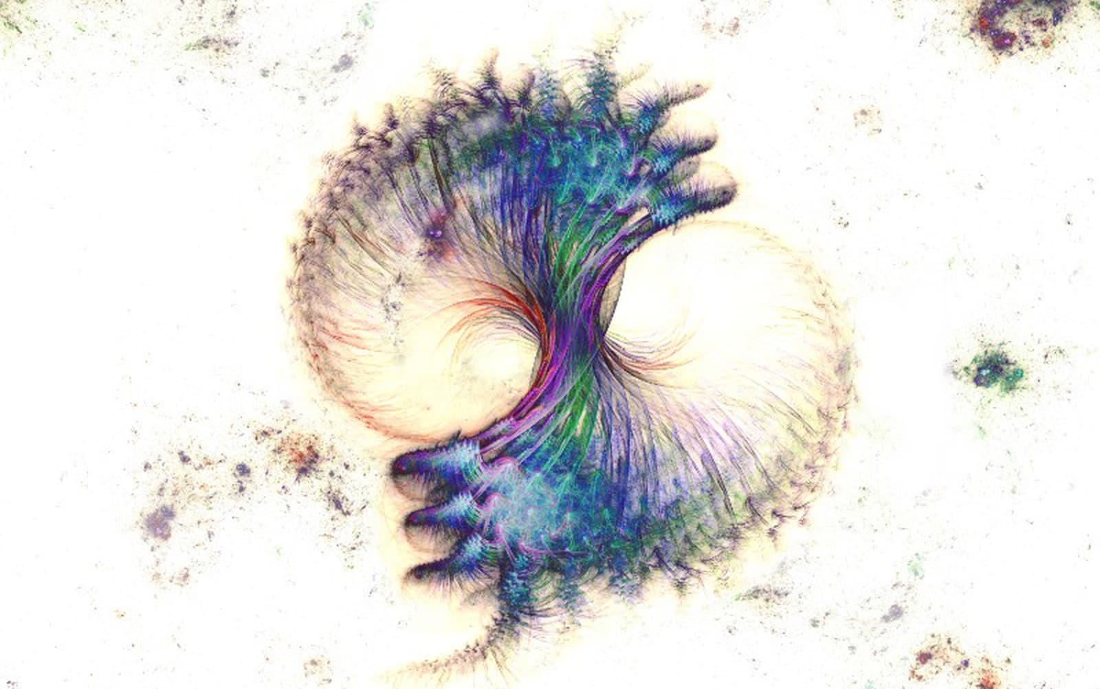 KOEN SOBERON, CORNUCOPIA 2/49