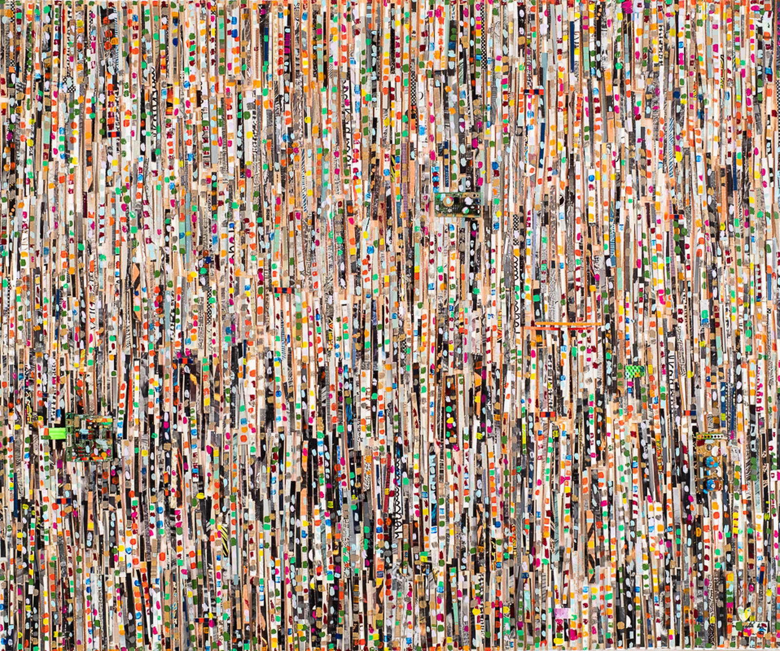 NELE JACOBS, THE FOREST