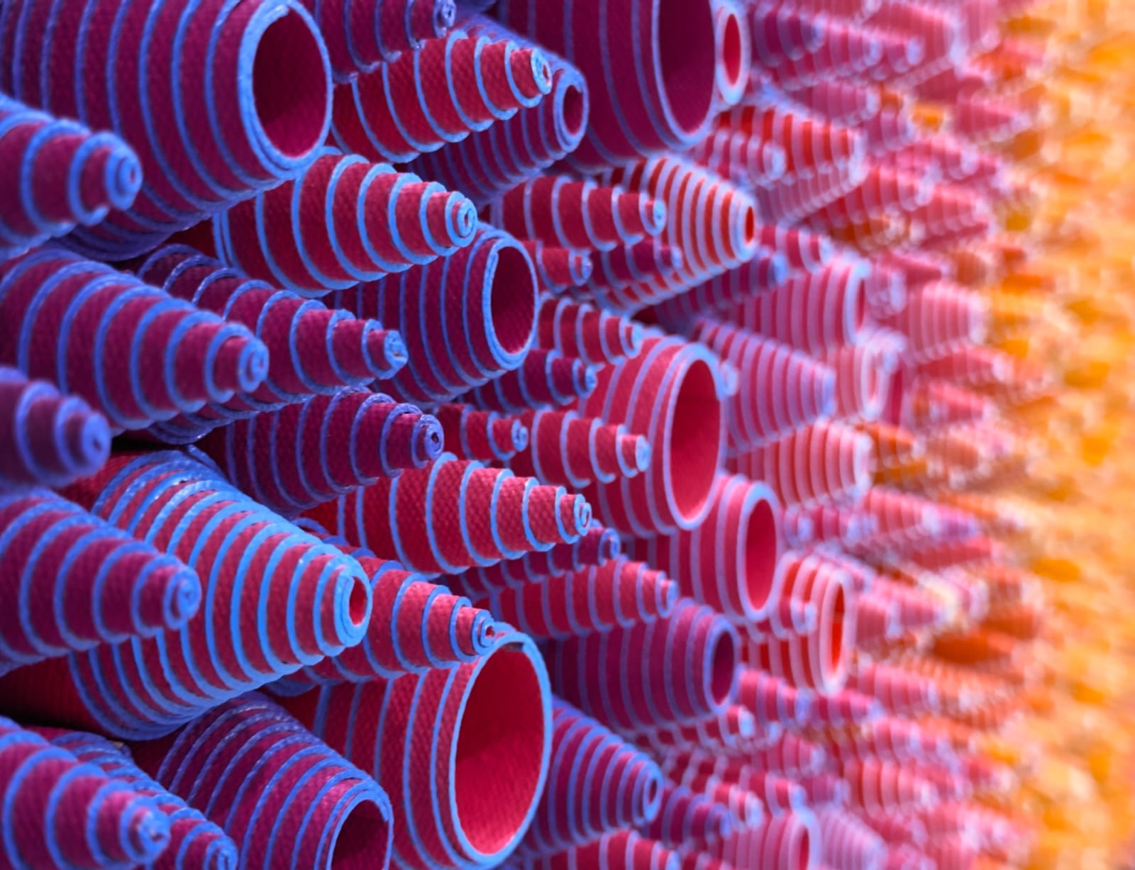 STALLMAN, WILD ISLAND