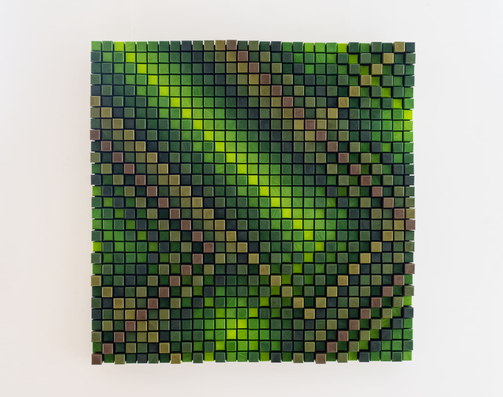 WILDS, LIFETIME (+C)