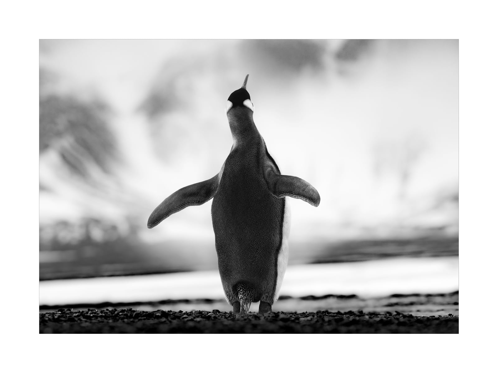 LARS BEUSKER, I BELIEVE I CAN FLY