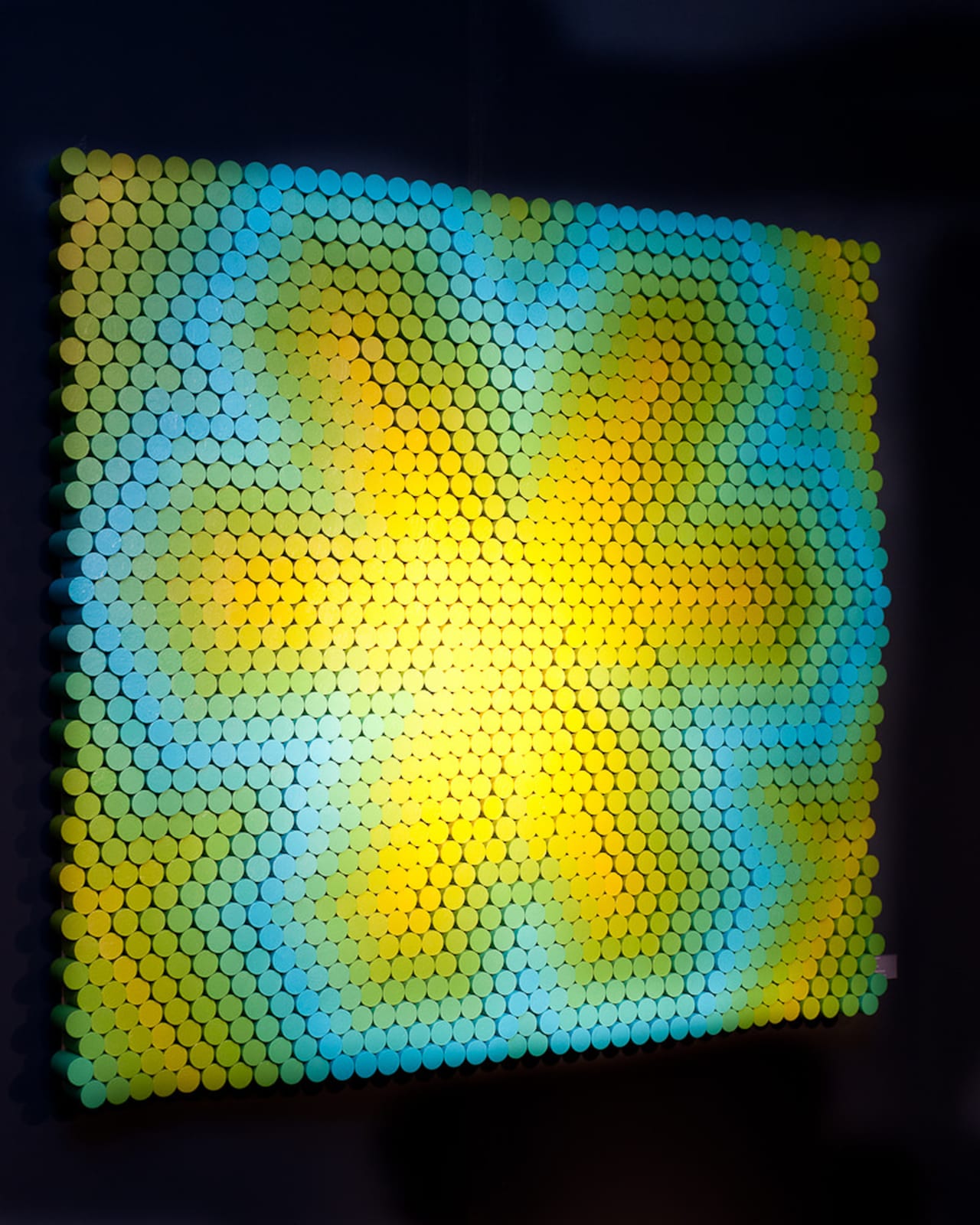 WILDS, PARADISE LAKE