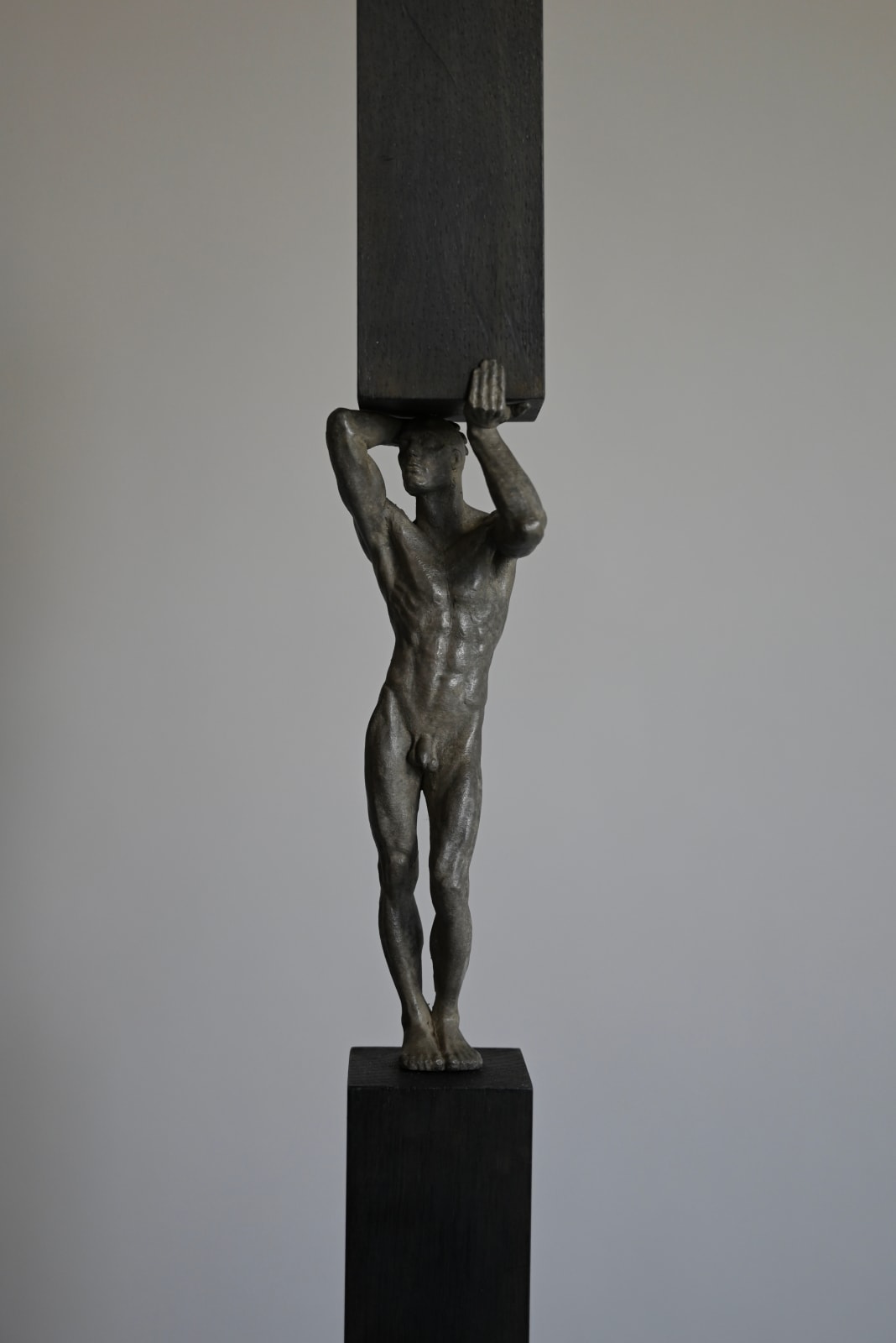 PHILIPPE TIMMERMANS, TITAN XI