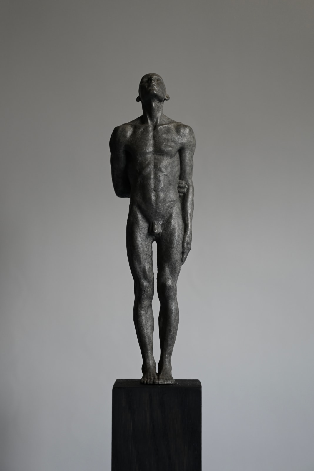 PHILIPPE TIMMERMANS, MIRABILE VISU (klein)