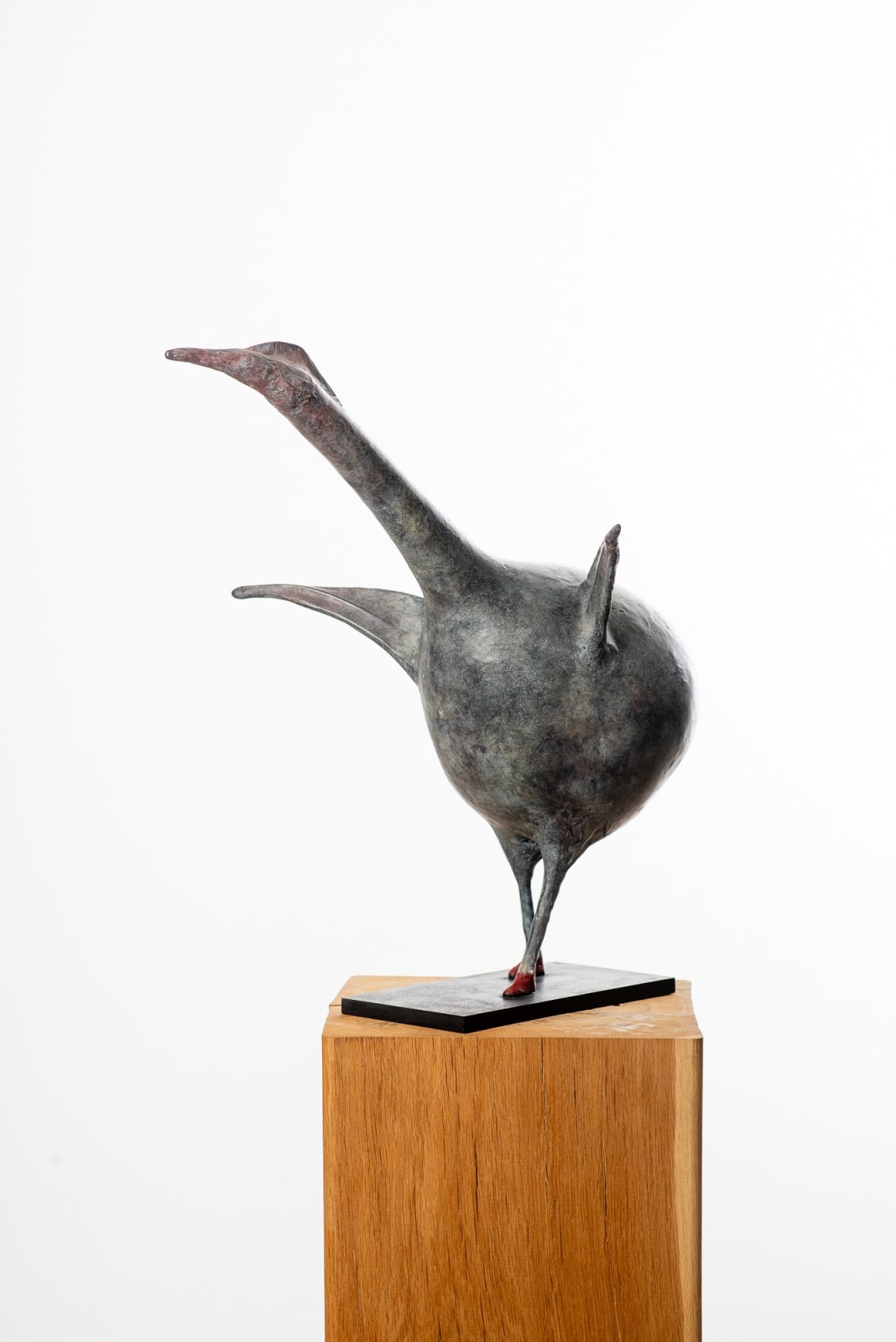 MICHEL FLAMME, AVIS CAMINADOR