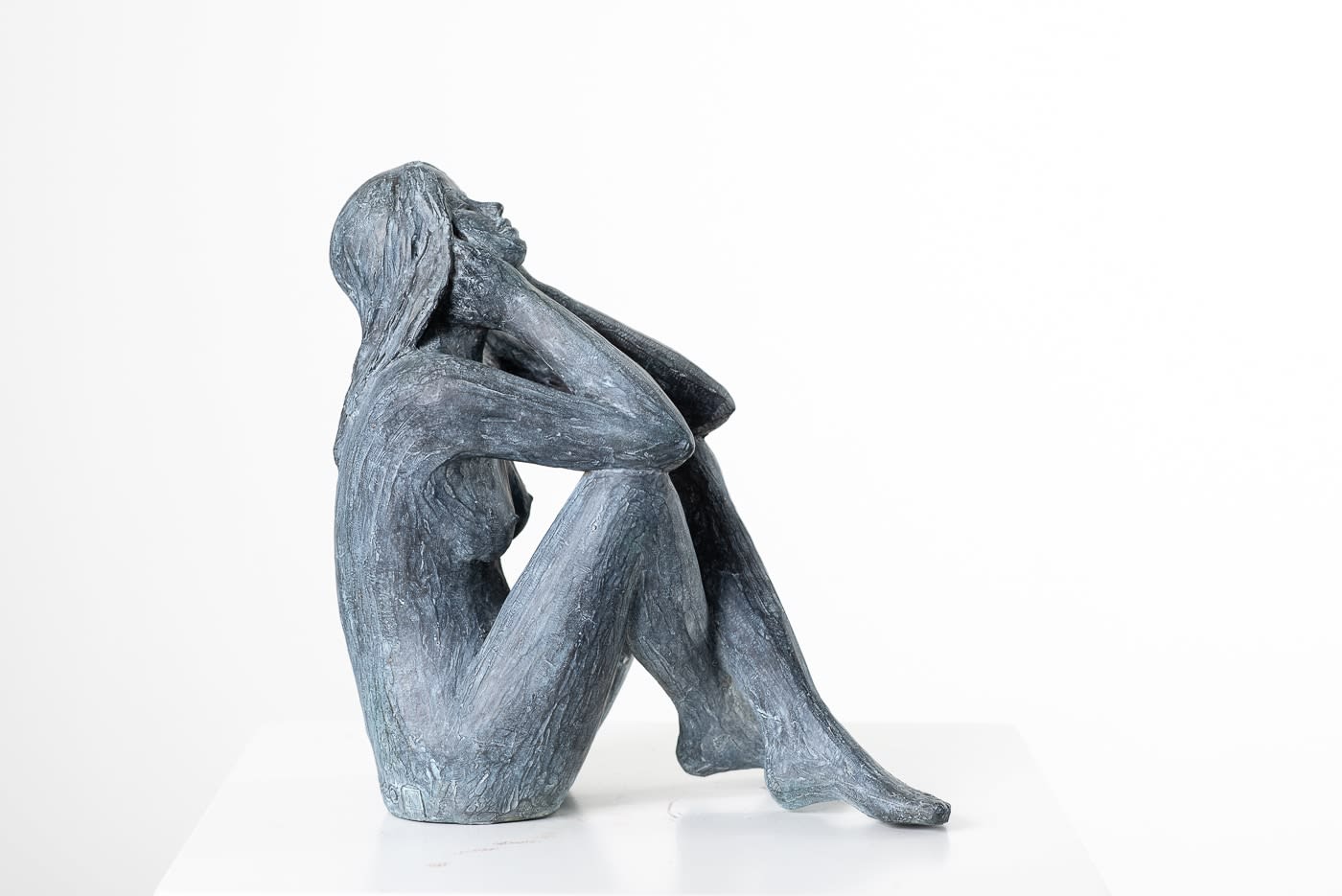 LINDE ERGO, LE PETIT BONHEUR