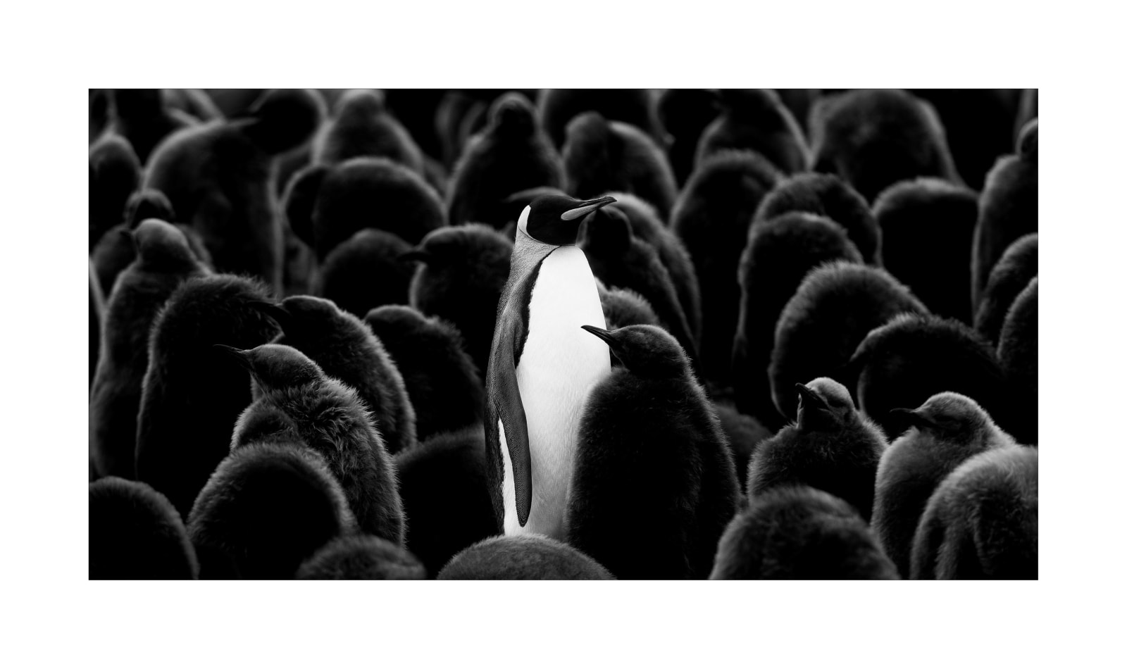 LARS BEUSKER, ONE OF A KIND