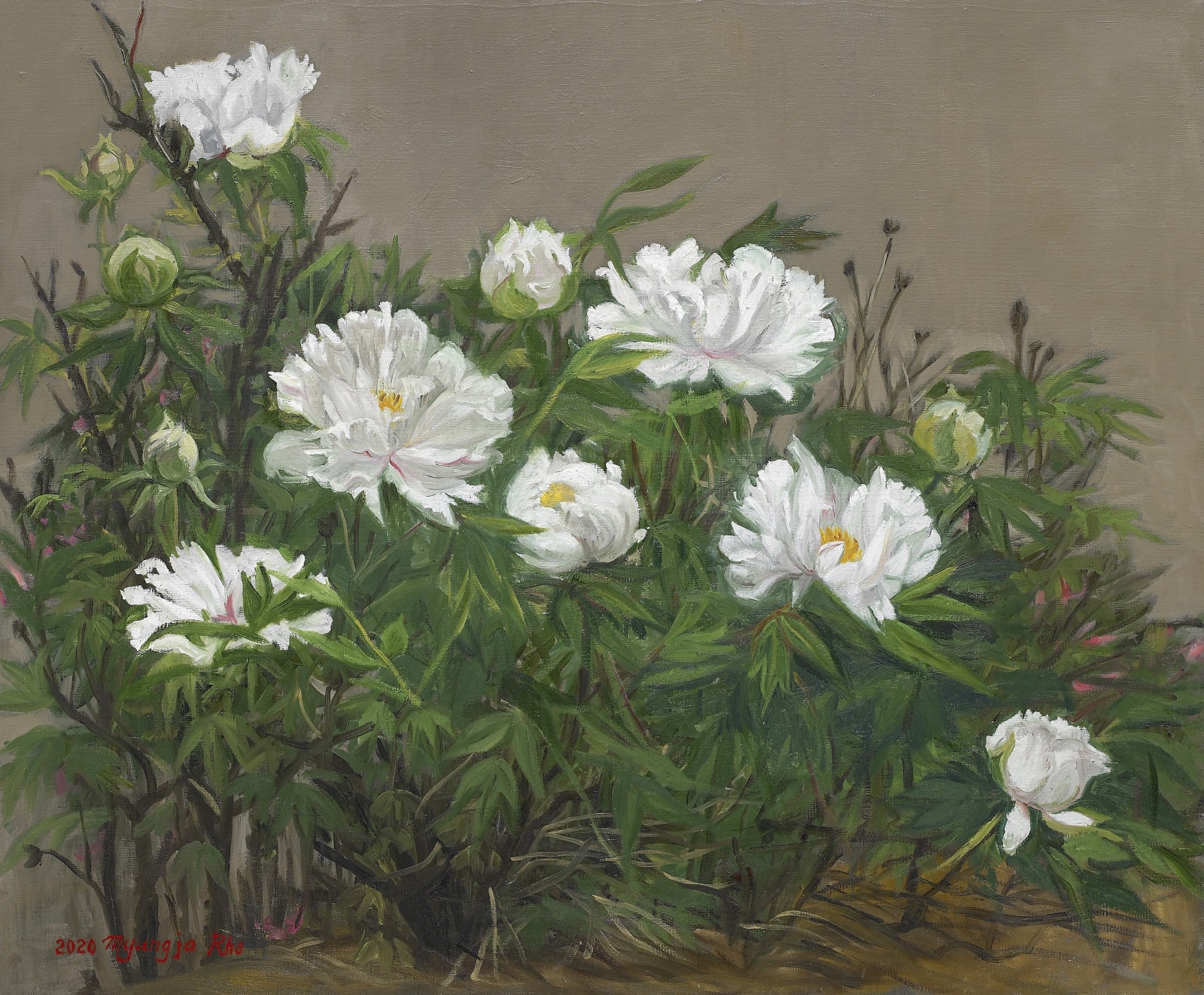 노명자 ROH, Myung Ja, 백 모 란, 2020