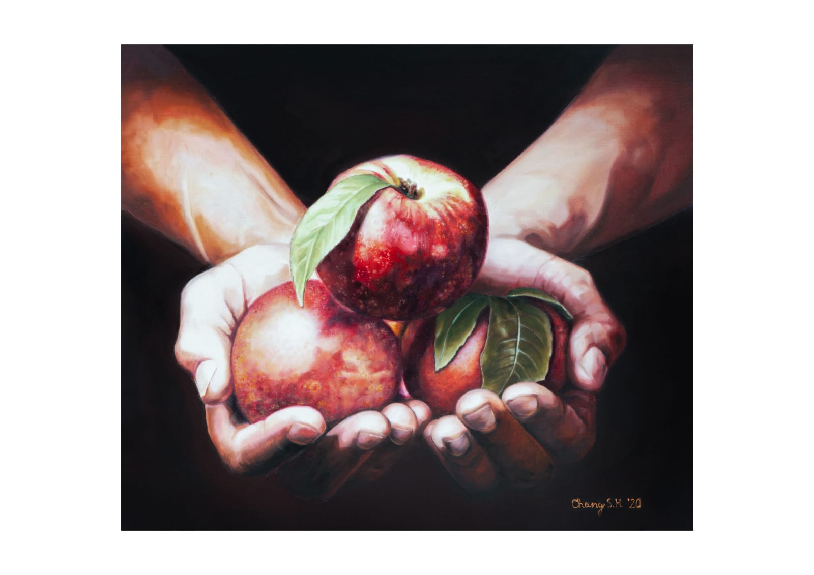 장석희, 묻혀 있던 빛을 찾아오다 2022-14