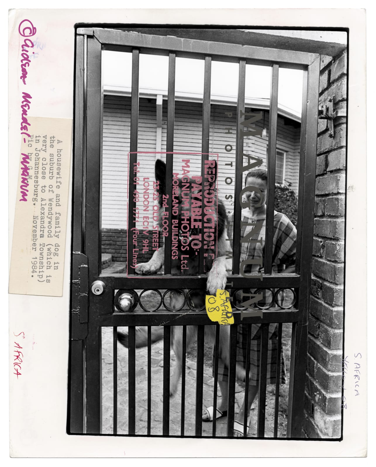 Gideon Mendel, 41 MERGED, 2019