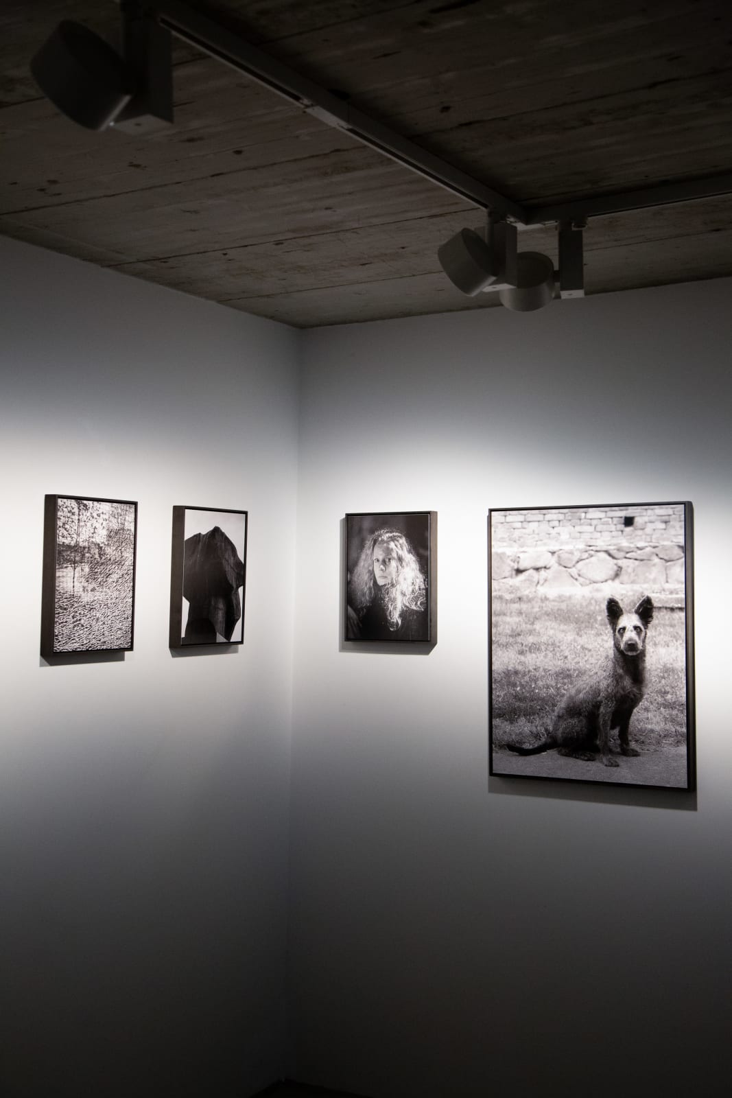 Tobias Kruse, #037, 2019