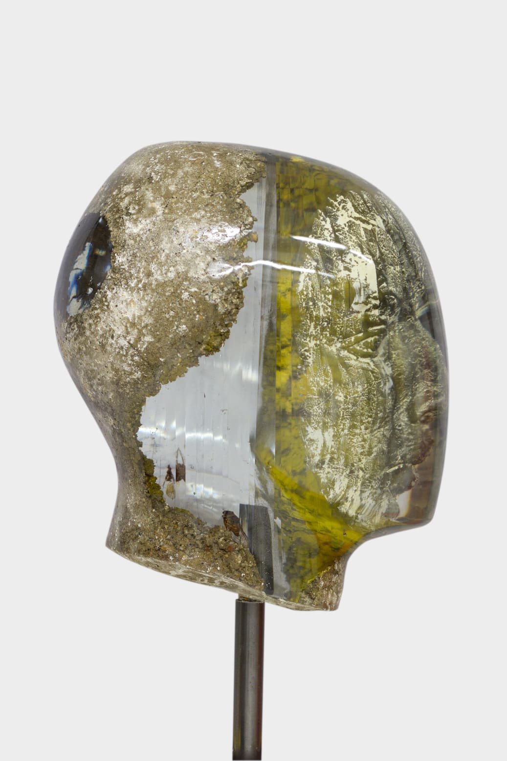 Oliver Czarnetta, CICADA, 2019