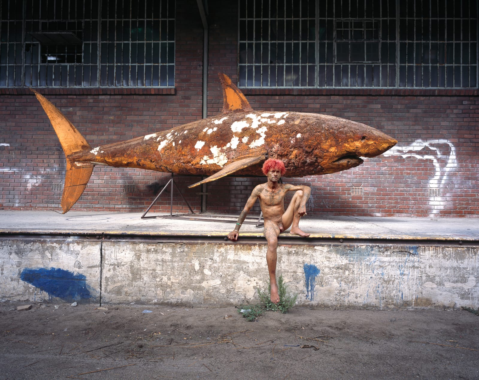 Gordon Clark, Fish out of Water, 2013