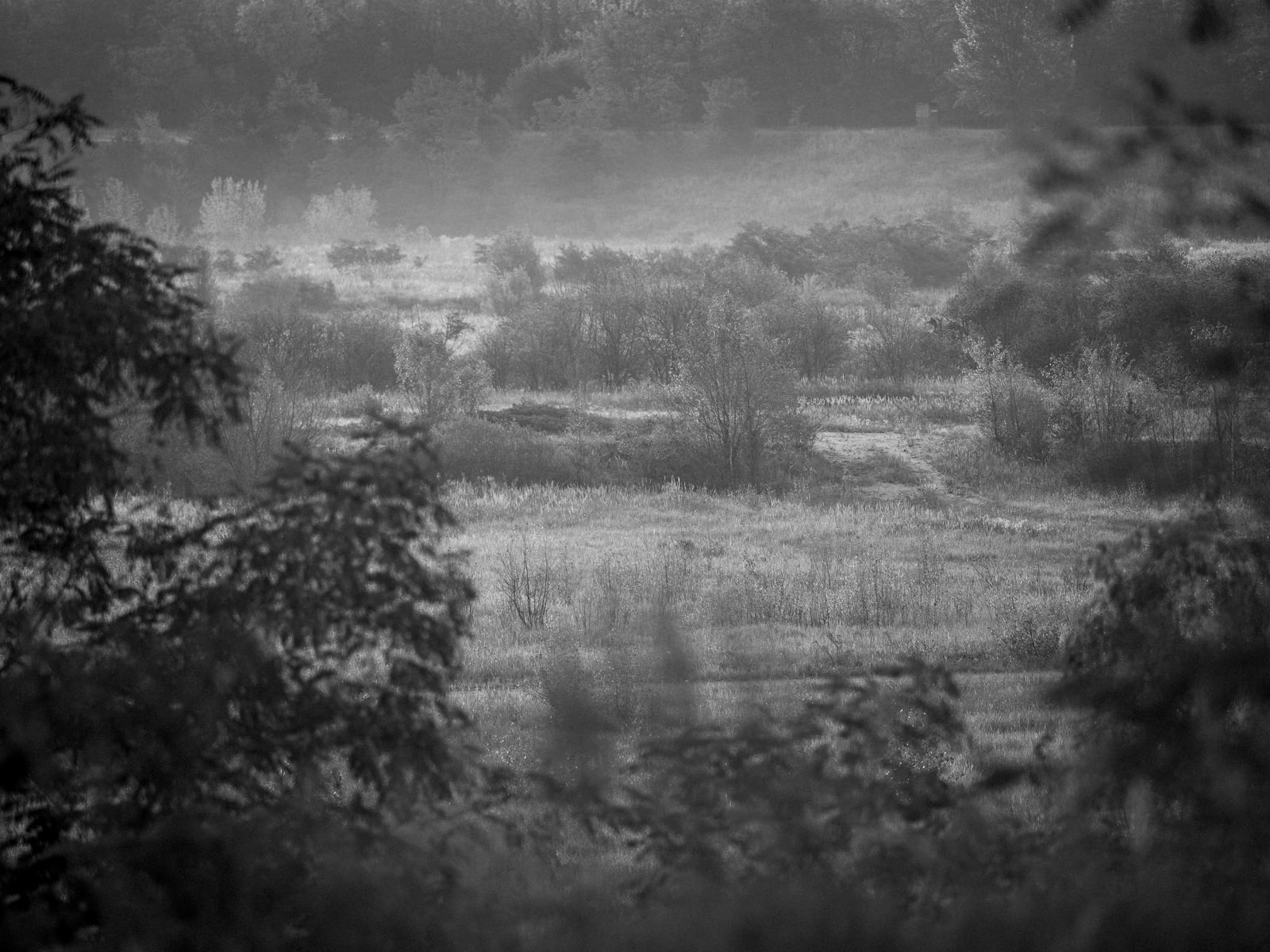 Tobias Kruse, #011, 2019