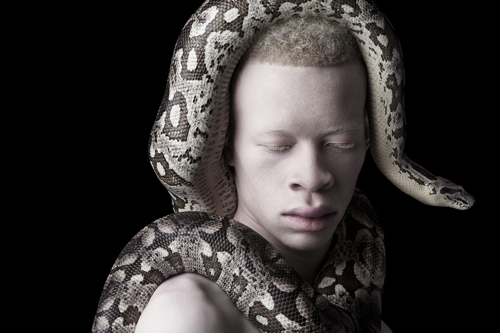 Justin Dingwall, REBIRTH, 2014