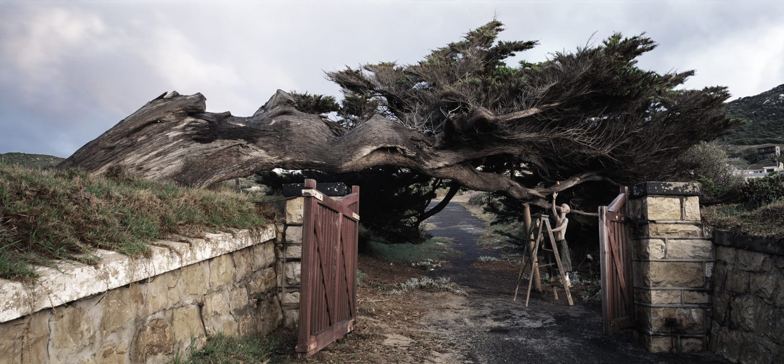 Gordon Clark, GATE TO INFINITY, 2009