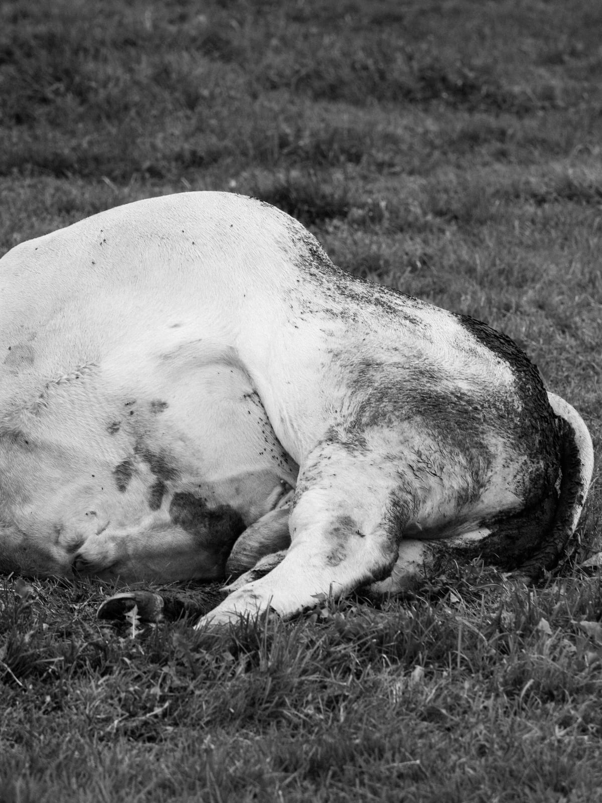 Tobias Kruse, #013, 2019