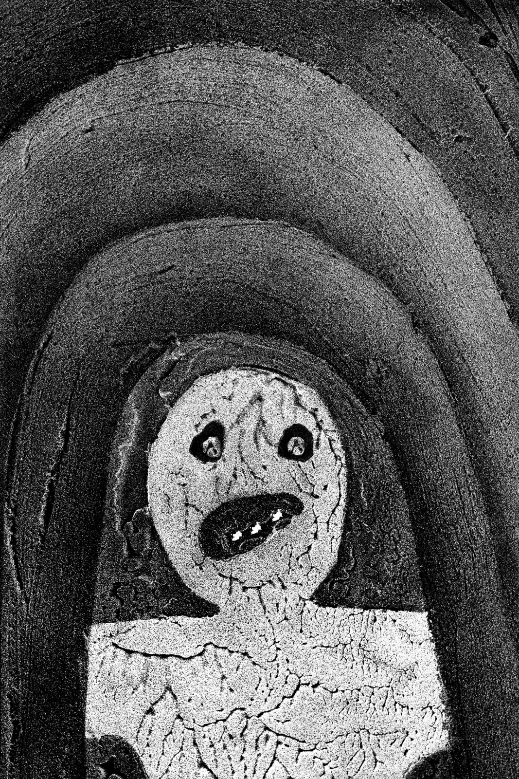 Roger Ballen, DESPAIR, 2010