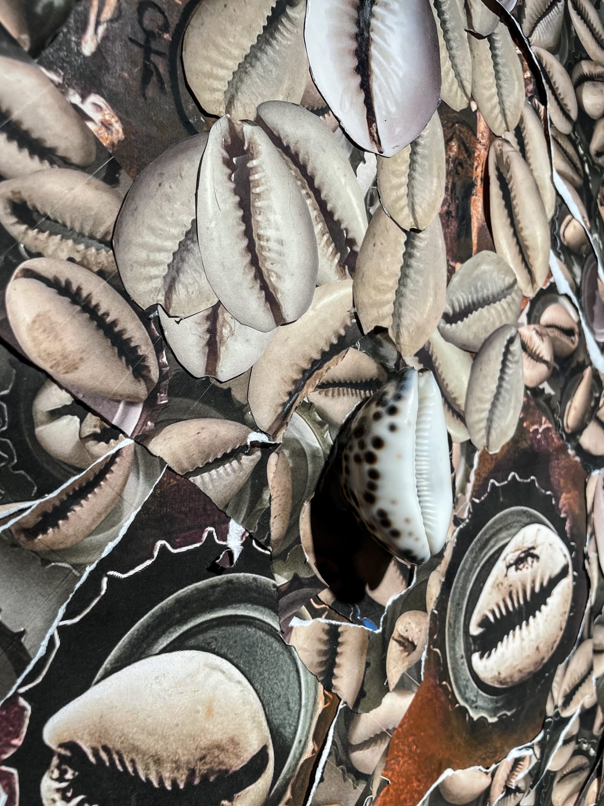 Exocé Kasongo, Black Hole, 2023