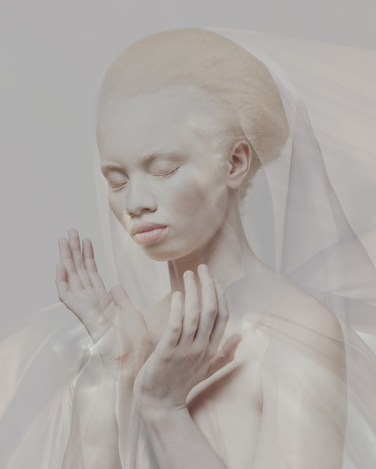 Justin Dingwall, SHEER, 2013