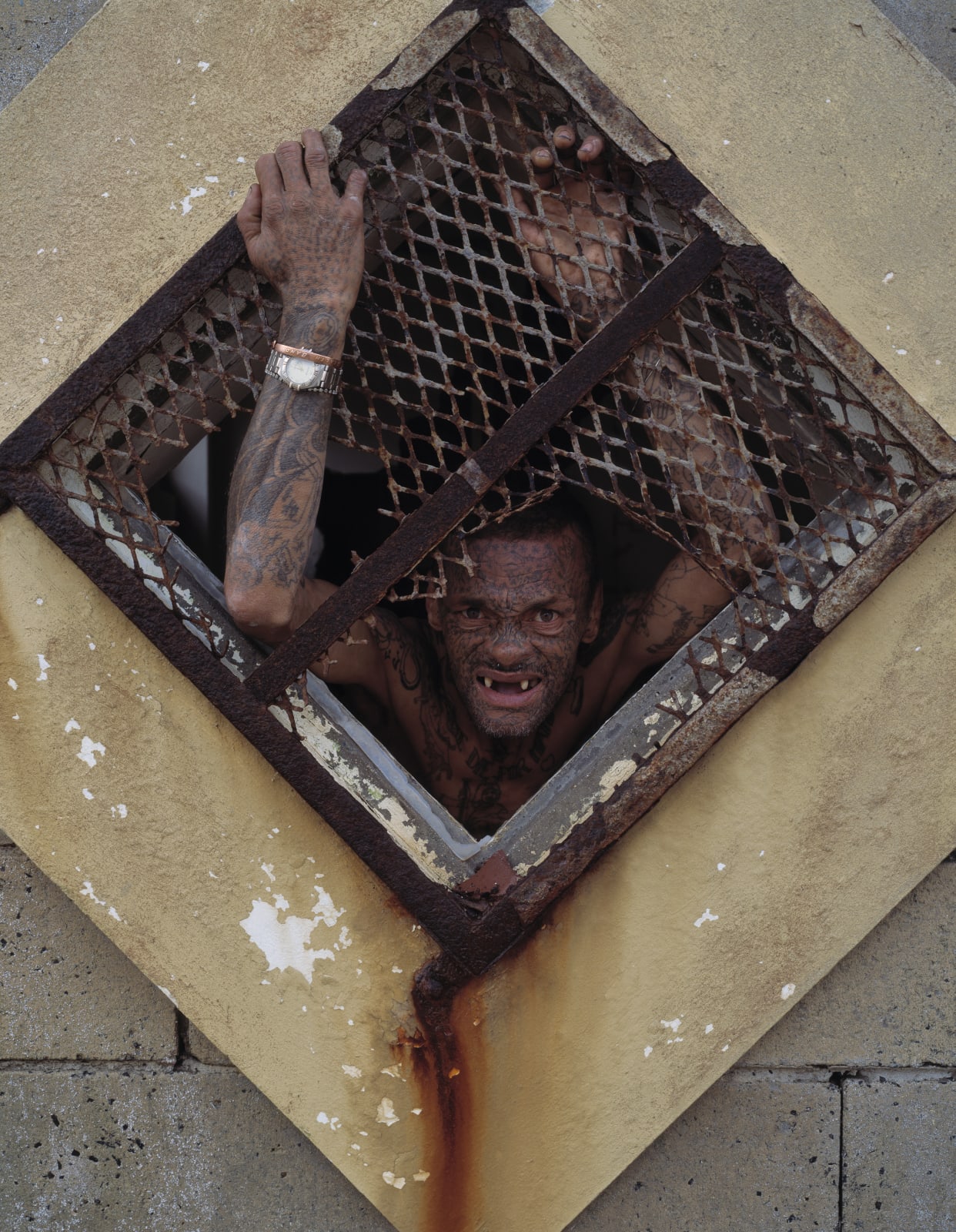 Gordon Clark, Cornered, 2013