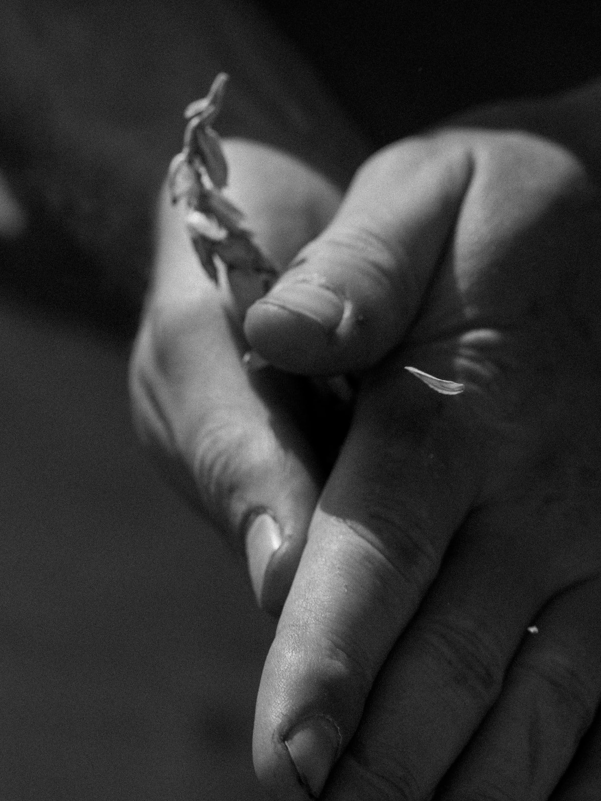 Tobias Kruse, #060, 2019