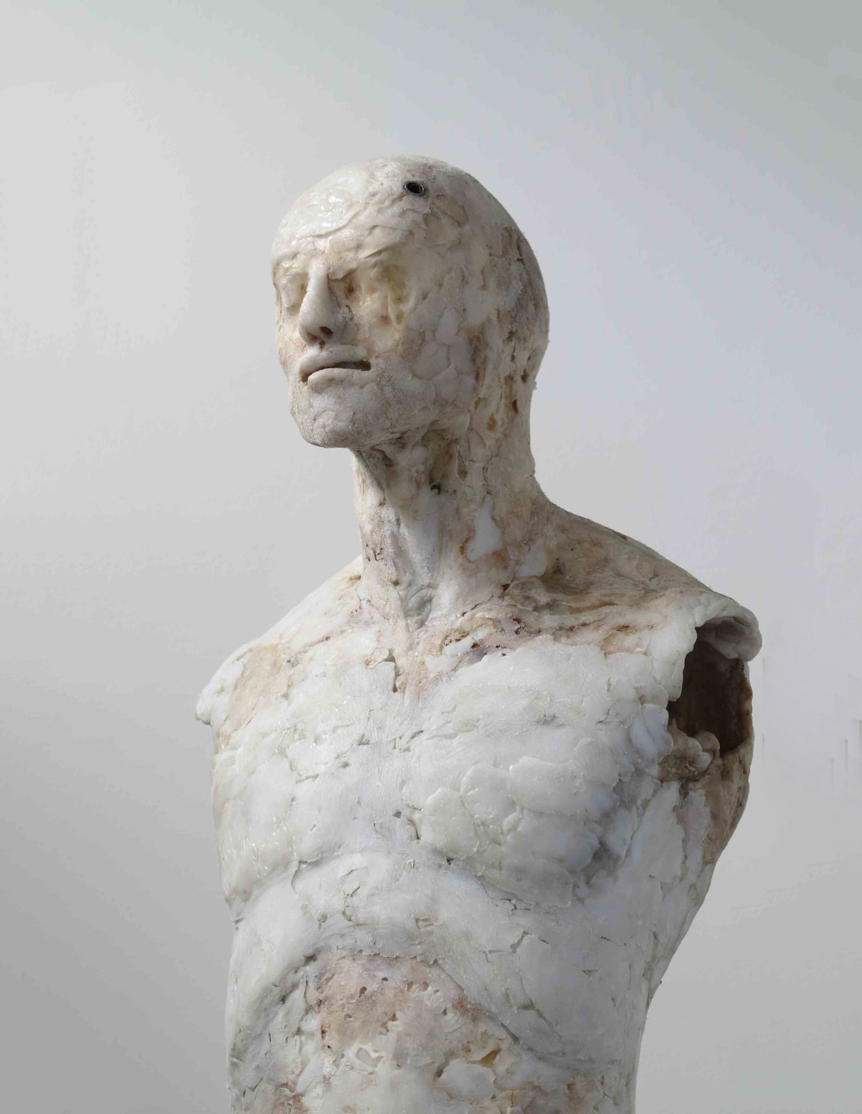 Daniel Blom, MY FAVOURITE TOYS, 2016