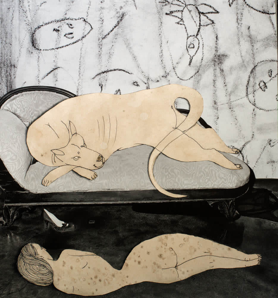 Roger Ballen, REVERSAL, 2016