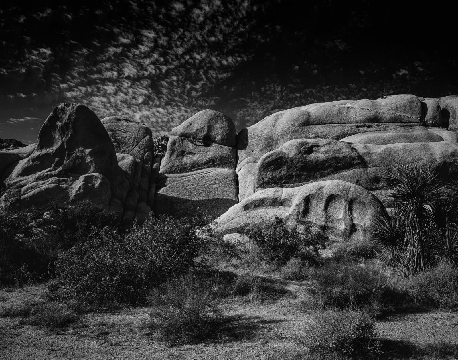 Gordon Clark, Plate 3, 2020