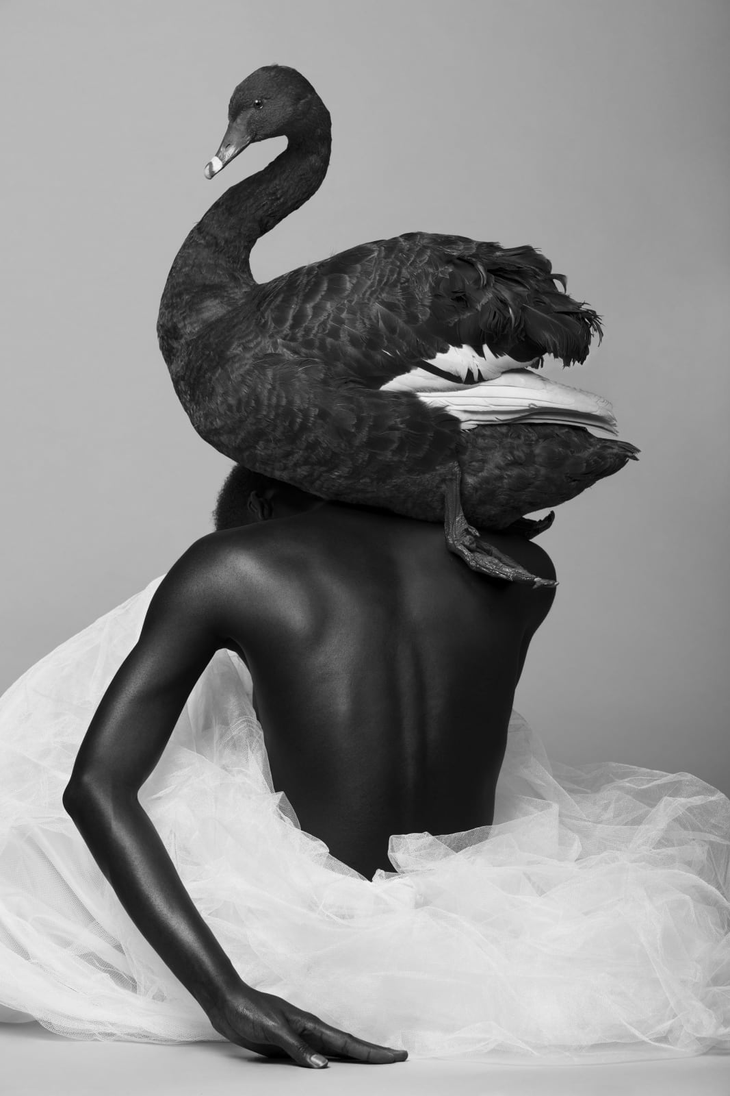 Justin Dingwall, TARGET II, 2016