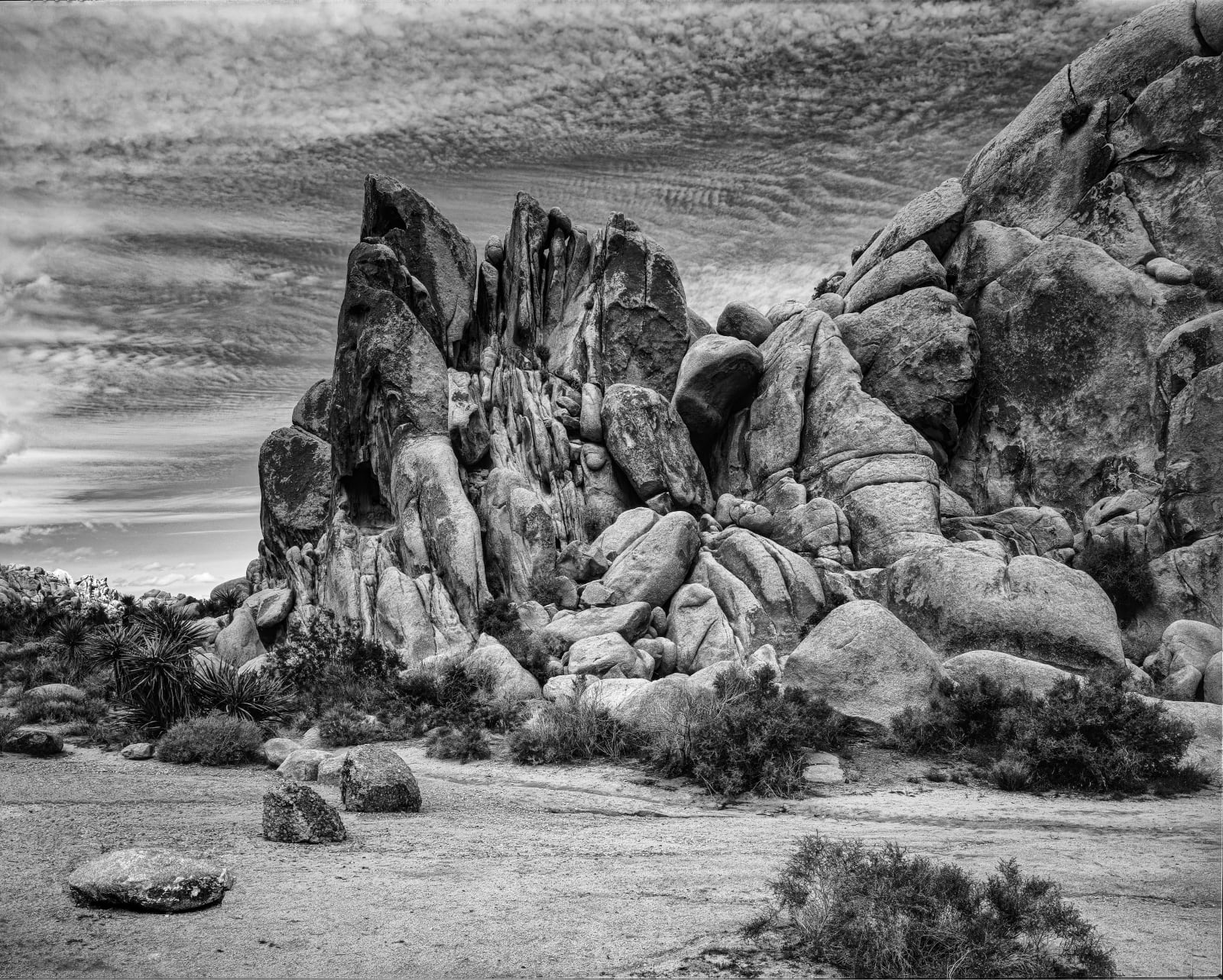 Gordon Clark, Plate 1, 2020