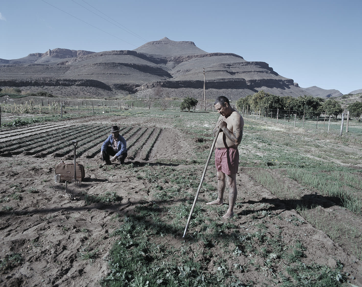 Gordon Clark, LITTLE ERNIE / PLAYING IN THE FIELD, 2015