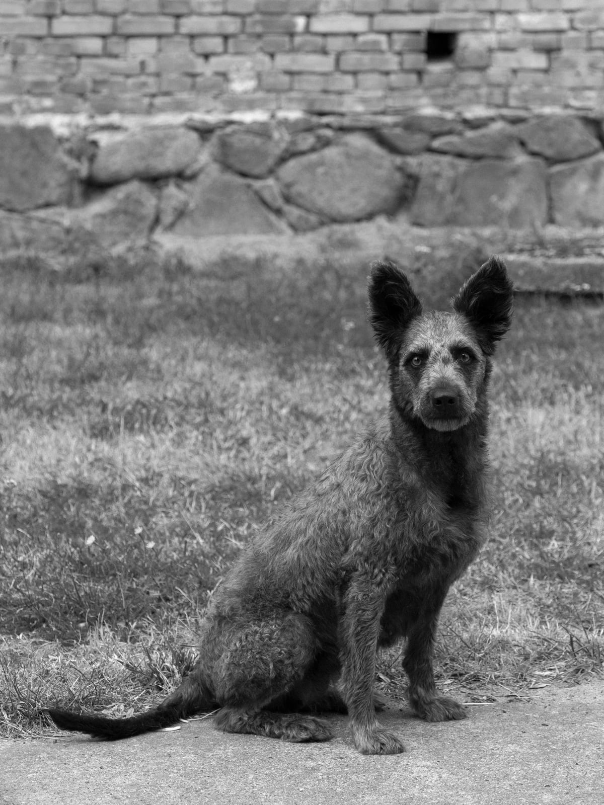 Tobias Kruse, #048, 2019