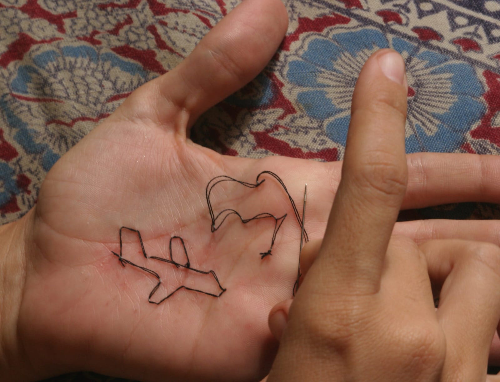 Diana Fonseca, Hobby, 2008