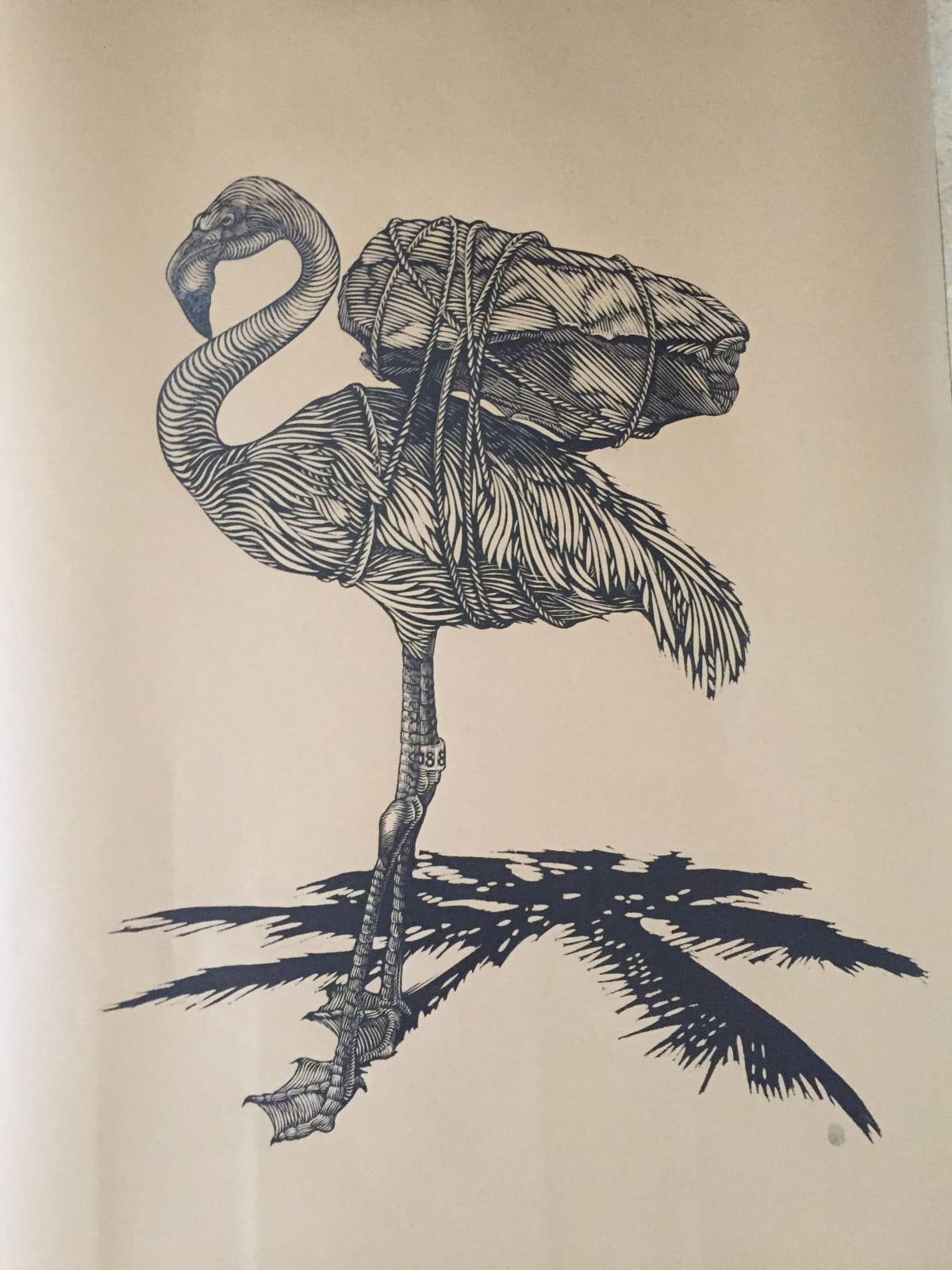 Osmeivy Ortega, Deserved Caribbean, 2019