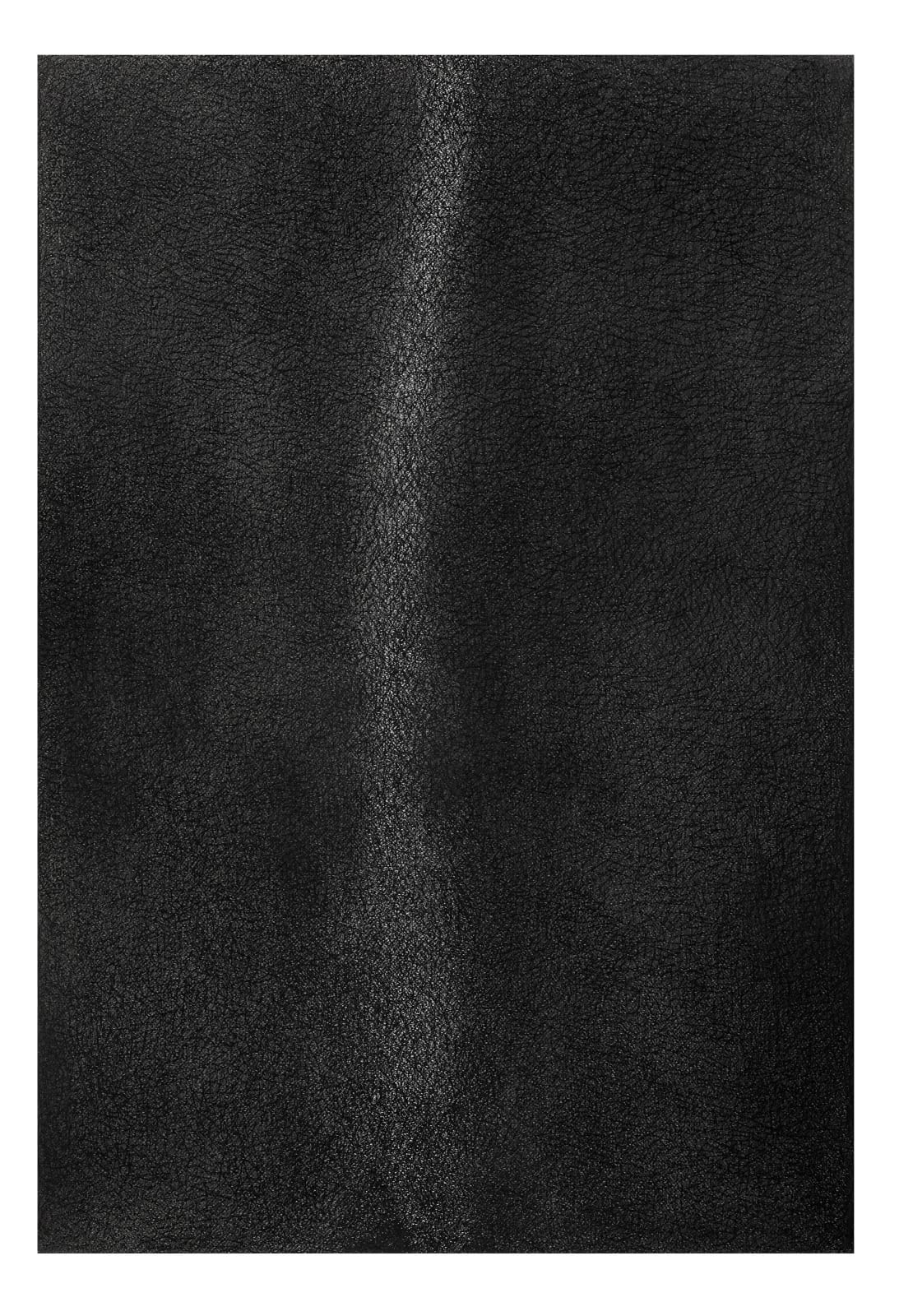 Asim Paul, Untitled, 2024