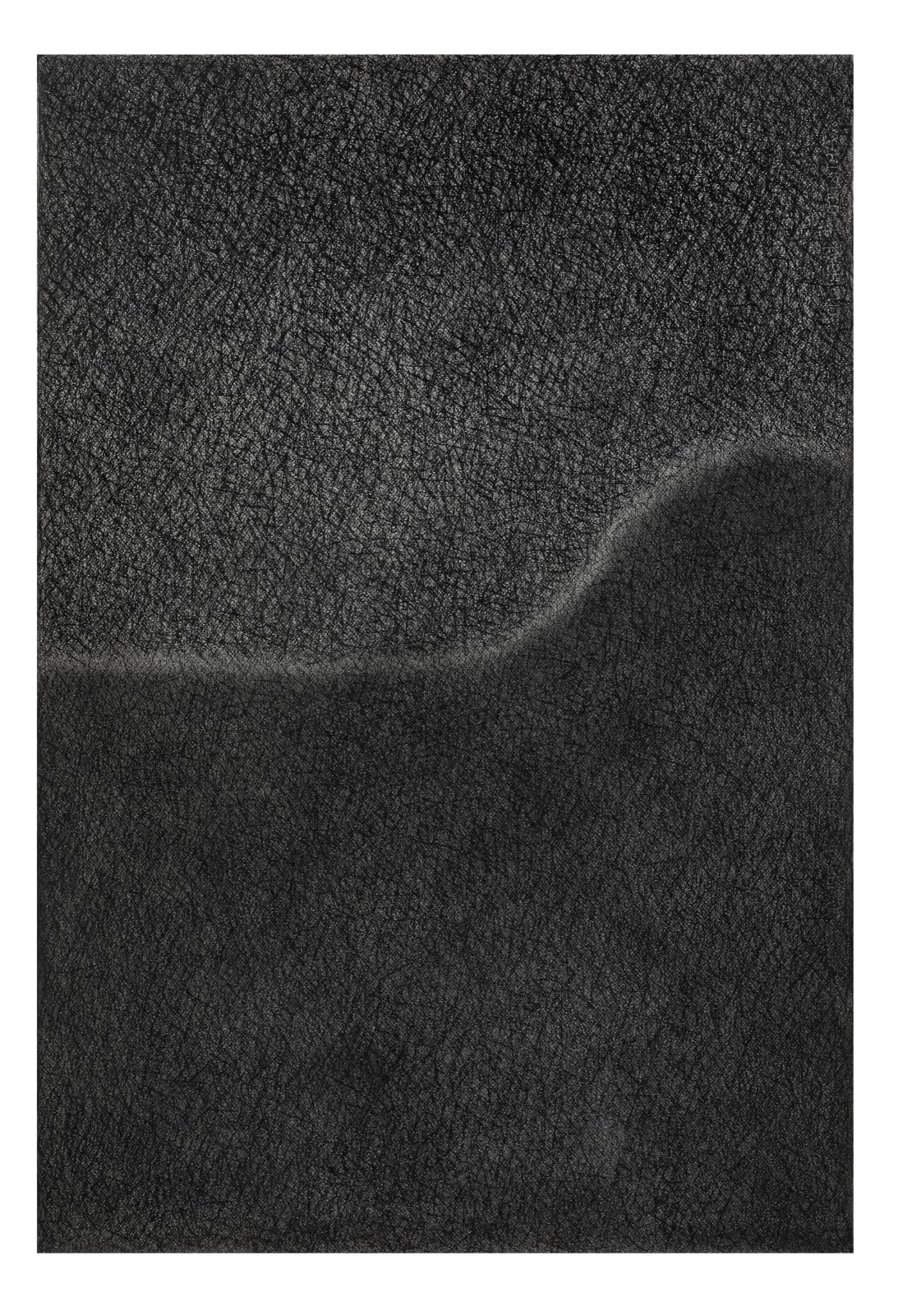 Asim Paul, Untitled, 2024