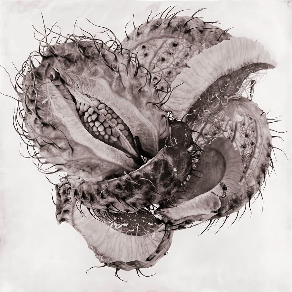 Antoine SCHNECK, Boulestrier