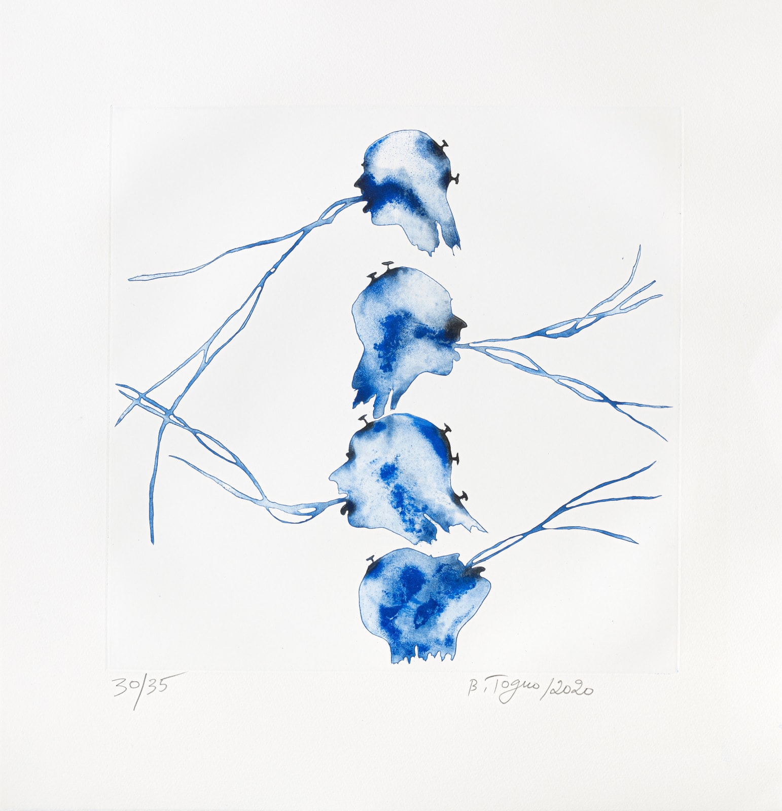 Barthélémy TOGUO, Bénoué, 2020