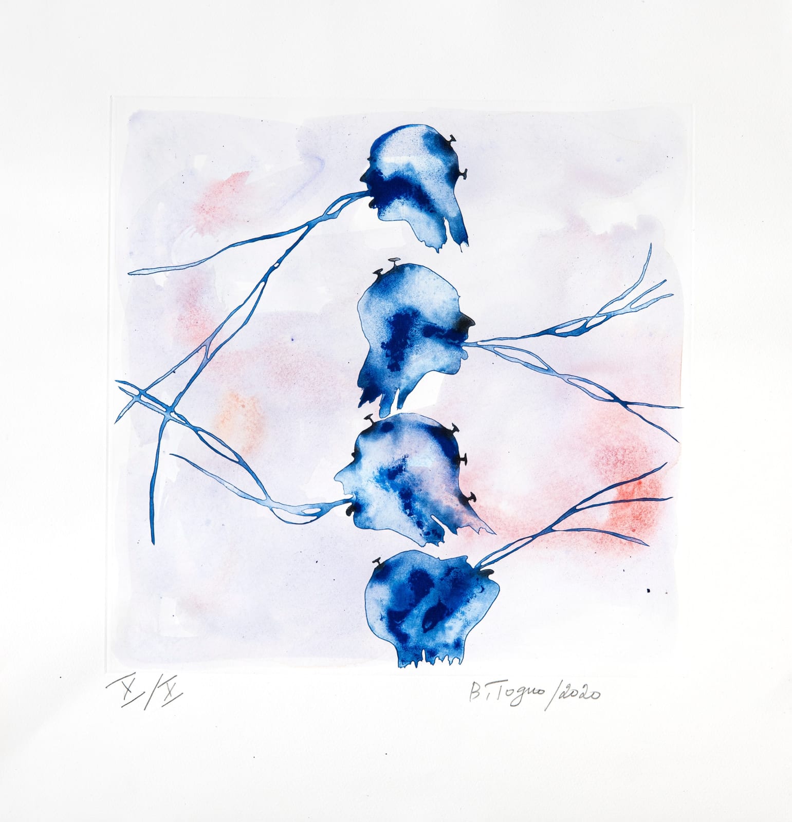 Barthélémy TOGUO, Bénoué, 2020