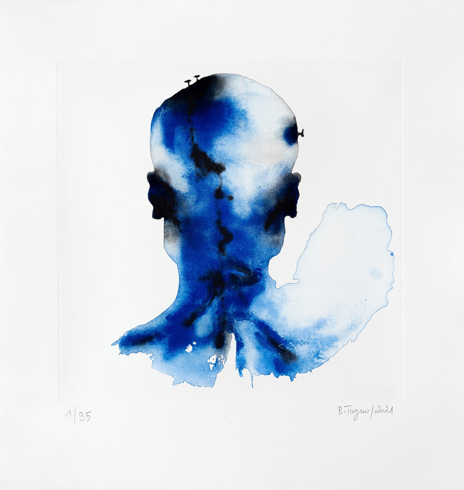 Barthélémy TOGUO, Dibamba, 2021