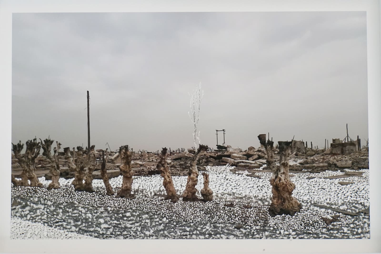 Raphaëlle PERIA, Bois coulés, 2021