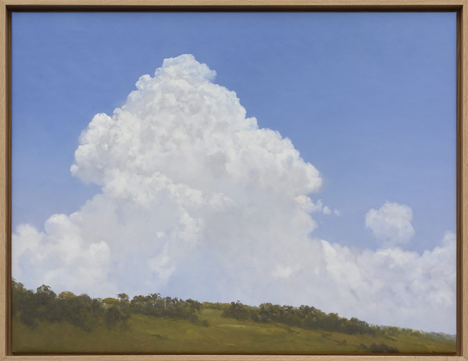 Carlos Nariño, Ciel 6, 2024