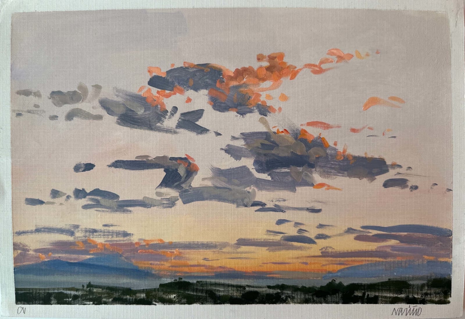 Carlos Nariño, Esquisse 5, 2024