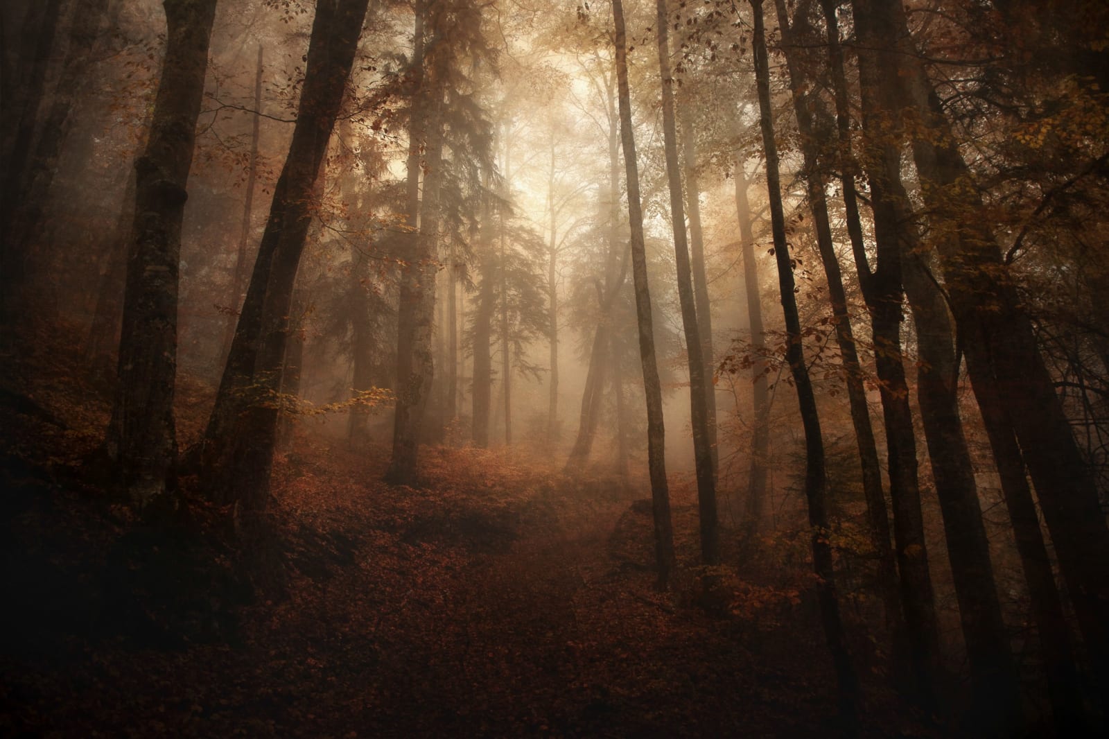 Alexandre Deschaumes, Les charmes de l'indicible. Haute Savoie, France