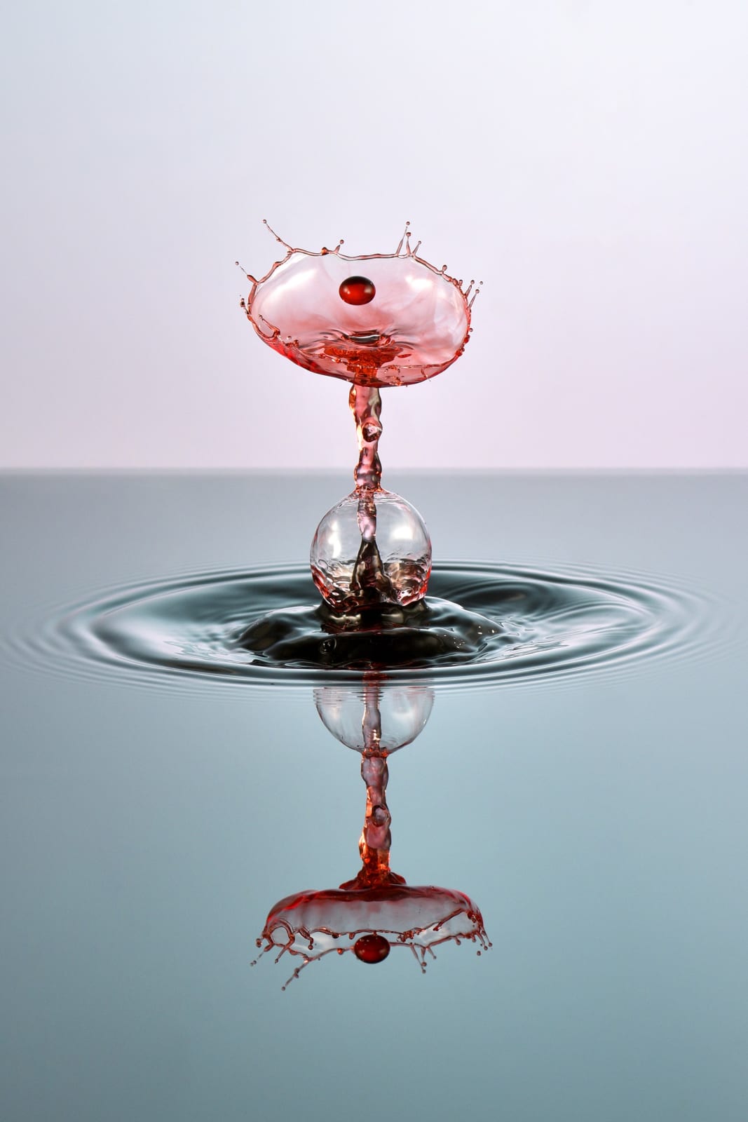 Murat Kunt, Red Bubble, 2022